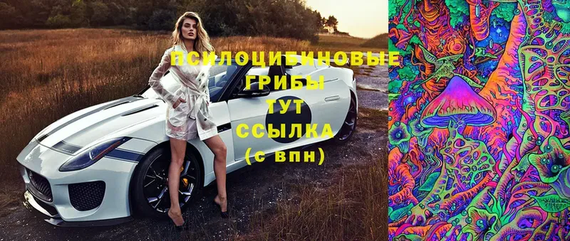 площадка клад  Богданович  Галлюциногенные грибы Magic Shrooms  где можно купить   blacksprut ТОР 